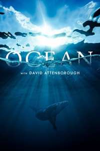 Ocean with David Attenborough - Posters