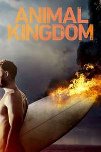Animal Kingdom - Posters