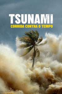 Tsunami: Race Against Time - Posters