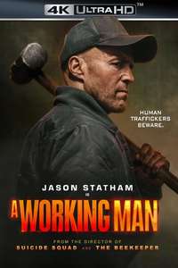 A Working Man - Posters