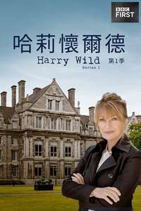 Harry Wild - Posters