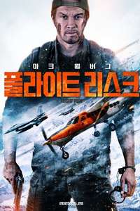 Flight Risk - Posters