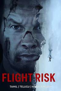 Flight Risk - Posters