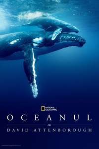 Ocean with David Attenborough - Posters