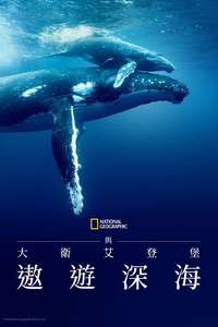 Ocean with David Attenborough - Posters