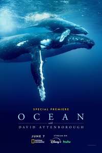 Ocean with David Attenborough - Posters