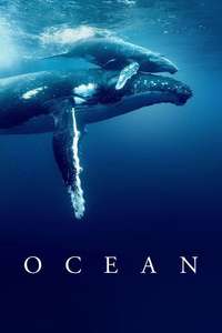 Ocean with David Attenborough - Posters