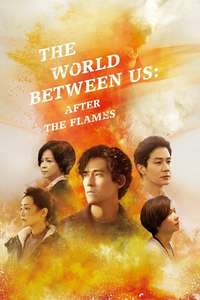 The World Between Us - Posters
