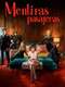Fleeting Lies : Season 1