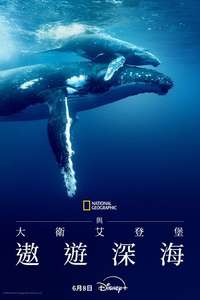 Ocean with David Attenborough - Posters