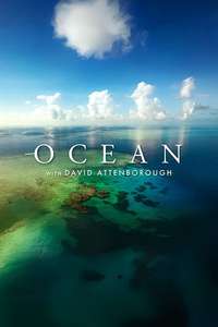 Ocean with David Attenborough - Posters