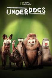 Underdogs