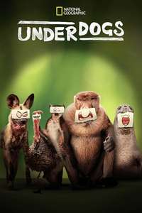 Underdogs - Posters