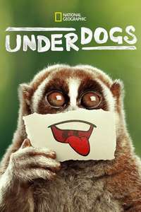 Underdogs - Posters