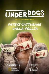 Underdogs - Posters