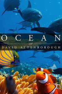 Ocean with David Attenborough - Posters