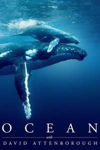 Ocean with David Attenborough - Posters
