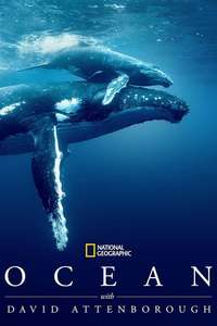 Ocean with David Attenborough - Posters