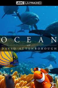 Ocean with David Attenborough - Posters