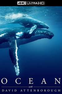 Ocean with David Attenborough - Posters
