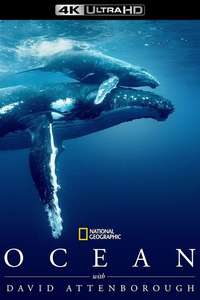 Ocean with David Attenborough - Posters