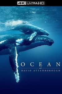 Ocean with David Attenborough - Posters