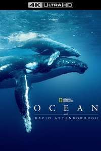 Ocean with David Attenborough - Posters