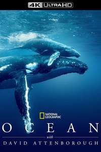 Ocean with David Attenborough - Posters