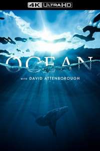Ocean with David Attenborough - Posters
