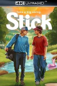 Stick - Posters