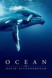 Ocean with David Attenborough - Posters