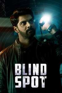 Blind Spot - Posters