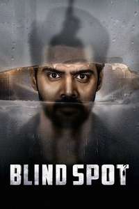 Blind Spot - Posters