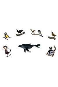 Attenborough's Wonder of Song - Posters