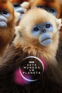 Seven Worlds One Planet - Posters