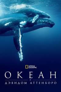 Ocean with David Attenborough - Posters