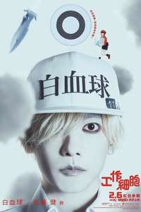 Cells at Work! - Posters