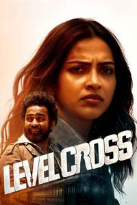 Level Cross - Posters