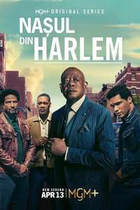 Godfather of Harlem - Posters