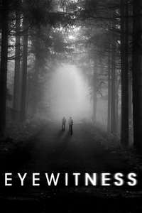 Eyewitness - Posters