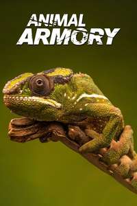 Animal's Armory - Posters