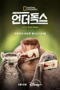 Underdogs - Posters