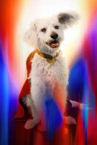 Superman - Posters