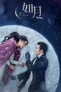 Snow Fall - Posters