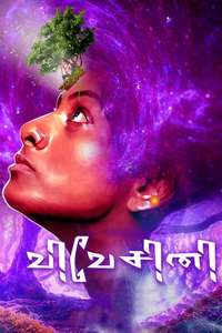 Vivesini - Posters