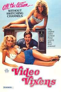 Video Vixens - Posters