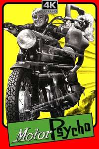 Motor Psycho - Posters