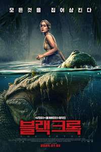 The Bayou - Posters