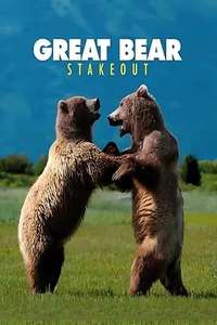 Great Bear Stakeout - Posters