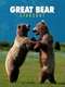 Great Bear Stakeout